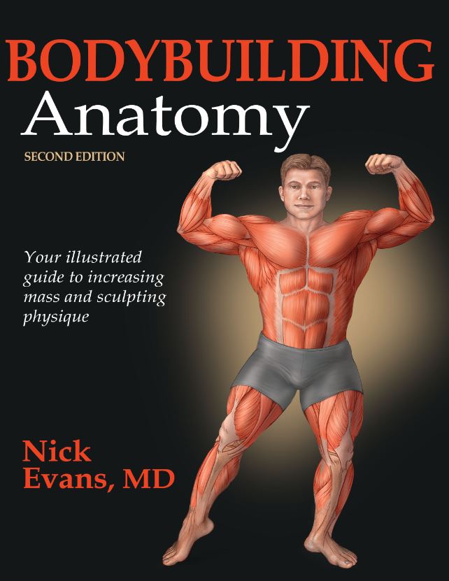 Bodybuilding Anatomy