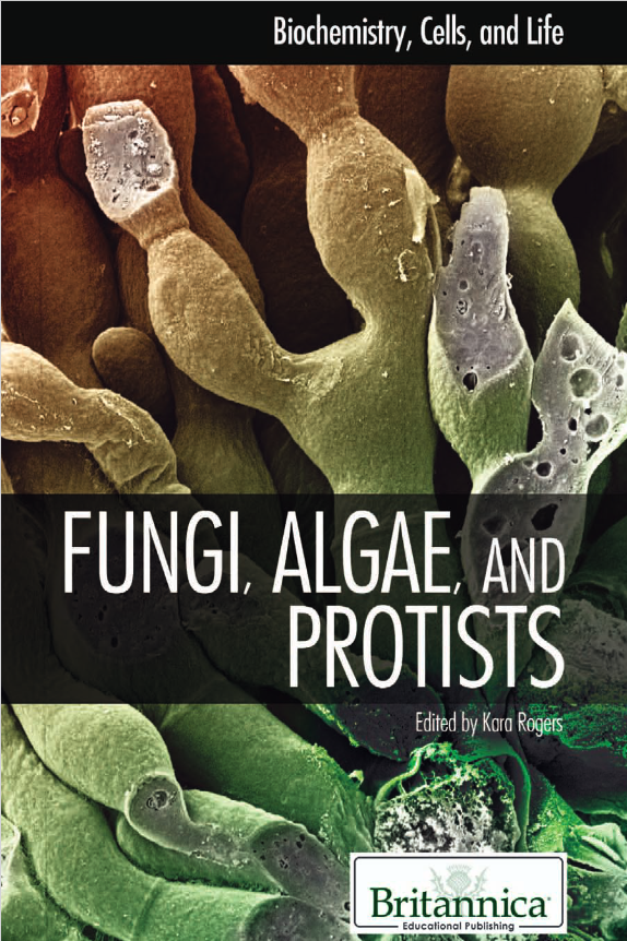 Fungi, Algae, and Protists