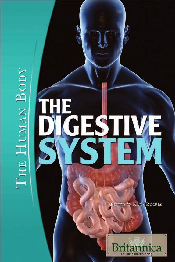 The Digestive System: The Human Body