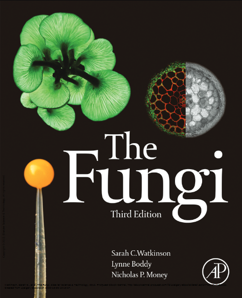 The Fungi