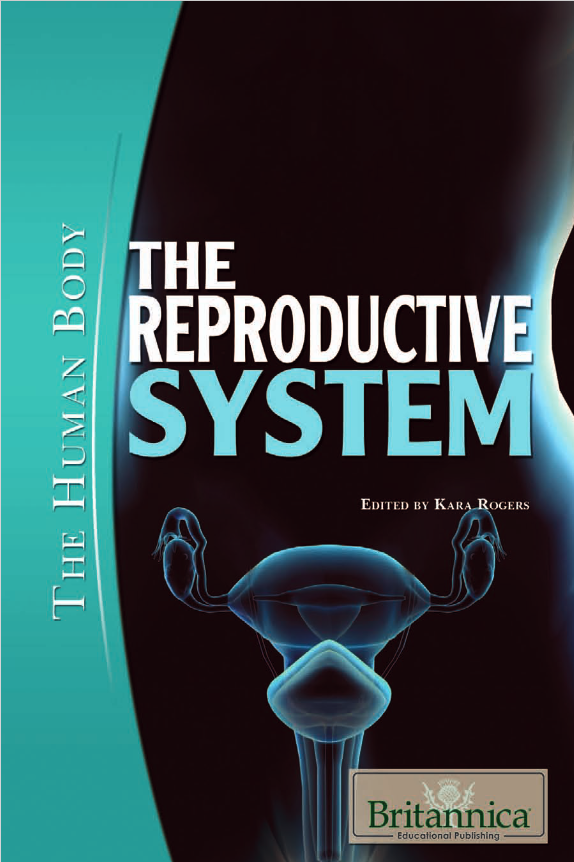 The Reproductive System: The Human Body