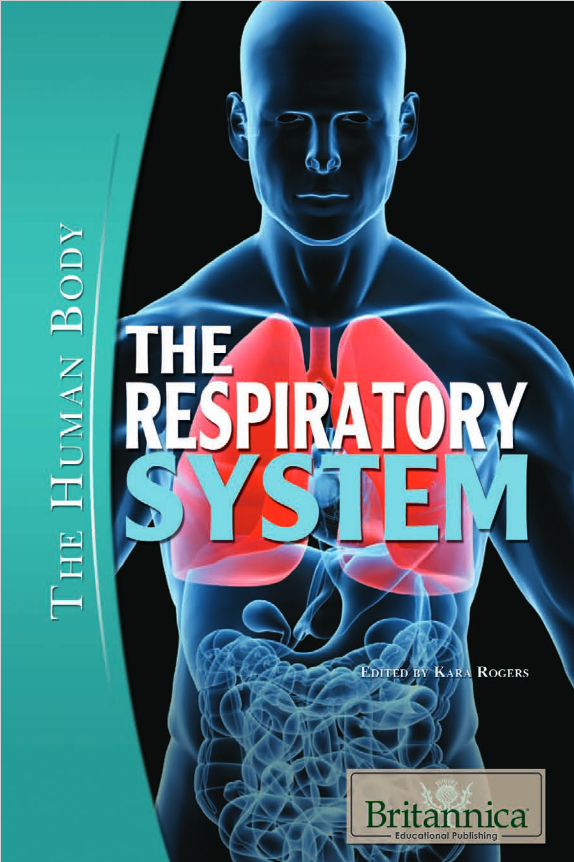 The Respiratory System: The Human Body