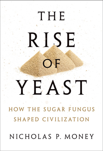 The Rise of Yeast: How the sugar fungus shaped civilisation