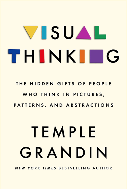 Visual Thinking